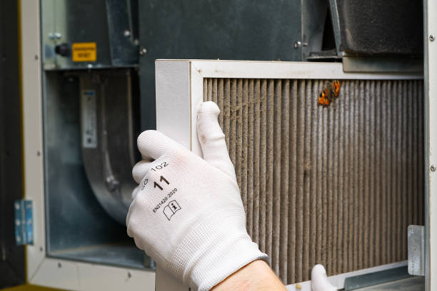Best Affordable Air Duct Cleaning  in Dover, FL