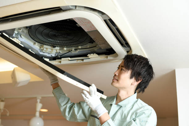 Best Air Duct Sanitizing Services  in Dover, FL