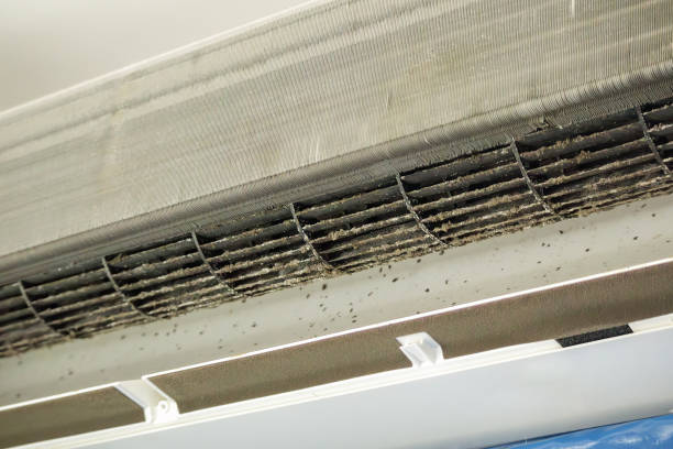 Trusted Dover, FL Airduct Cleaning Experts